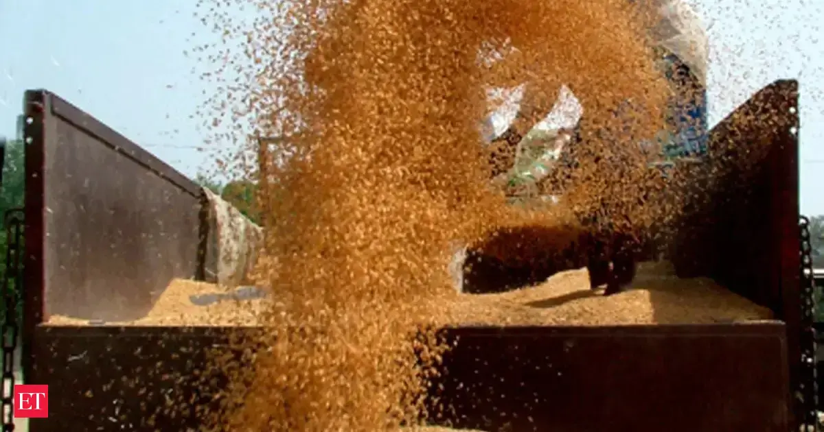 Shrivelled wheat issue: Centre relaxes quality norms for wheat ...