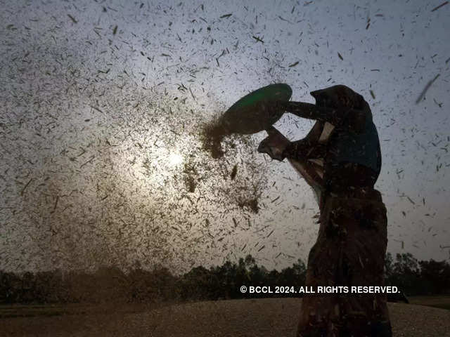 ​Food security