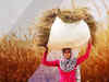 From India's stance to 'feed the world' to banning wheat exports: What changed?