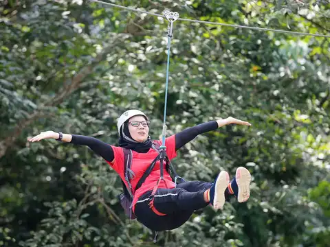 ​Flying Fox