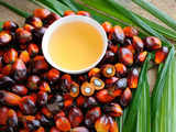Indonesia to lift palm oil export ban from Monday -president