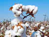 Rising cotton, yarn prices may hit apparel exports target: AEPC chairman