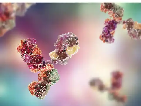 ​Enough concentration of antibodies