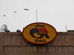 Birds fly past the logo of India's state-owned natural gas utility GAIL (India) Ltd in New Delhi