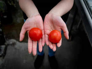 tomato reuters