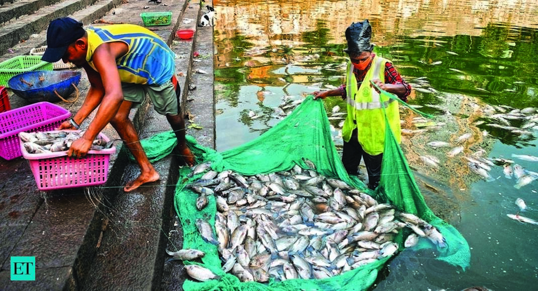 India opposes WTO process on fisheries sops