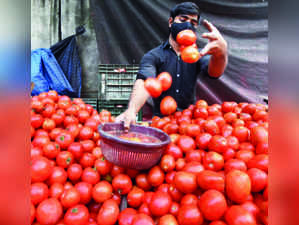 Retail tomato price breaches ₹100 mark