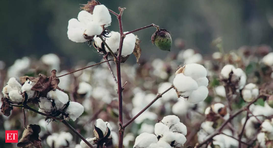 Small spinning mills to stop buying cotton