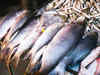India wants WTO fish subsidies pact to be equitable