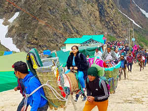 Char Dham Yatra: Environmentalists flag concerns over threat to Uttarakhand's exotic herbs