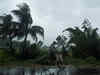 Monsoon advances to Sri Lanka, onward to Kerala