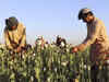 Taliban unlikely to curb Afghanistan's drug trade