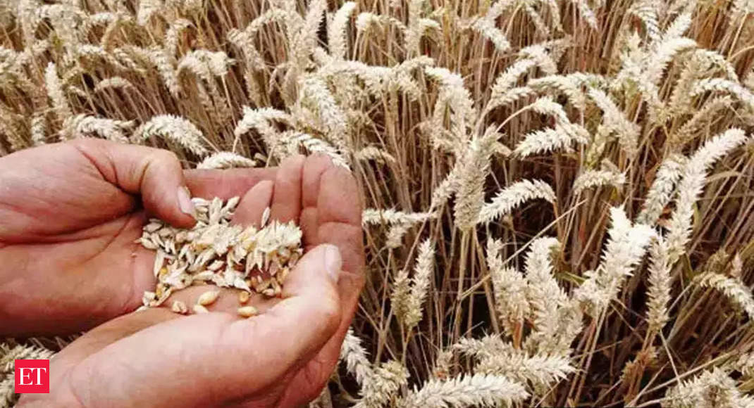 Export of 1 million tonne wheat likely to get green signal