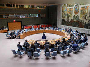 United Nations Security Council​.