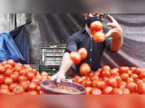​Even the inferior quality tomatoes, which are mostly bought by budget hotels and roadside eateries, have been selling for Rs 35-40 a kg. ​(Image used for representational purpose only)​