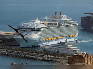 Cruise ship docked at a port
