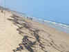 Goa's golden beaches turn murky as tar balls surface on seashore