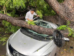 New Delhi: BJP MP Parvesh Sahib Singh checks his damaged car after an uprooted t...