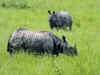 Kaziranga national park receives record footfall of over 2.75 lakh tourists for 2021-2022
