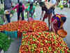 Retail prices of tomato skyrocket up to Rs 77 per kg in metro cities, barring Delhi