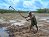 India assures Sri Lanka of fertiliser supplies to avoid food shortages