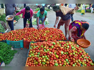 Retail prices of tomato skyrocket up to Rs 77 per kg in metro cities, barring Delhi