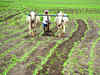 Indian Institute of Management Ahmedabad launches agri land price index