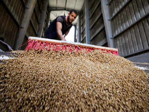 Egypt rejects ship carrying Indian wheat originally intended for Turkey: Official