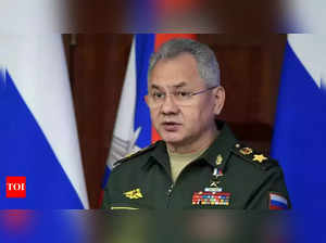 Russian Defence Minister Sergei Shoigu