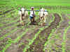 Cabinet hikes MSP for Kharif crops for season 2022-23