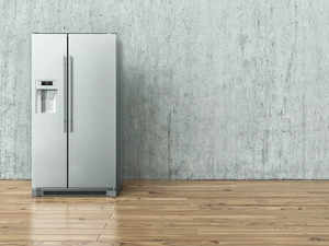 Industry urges government to put import restrictions on refrigerators