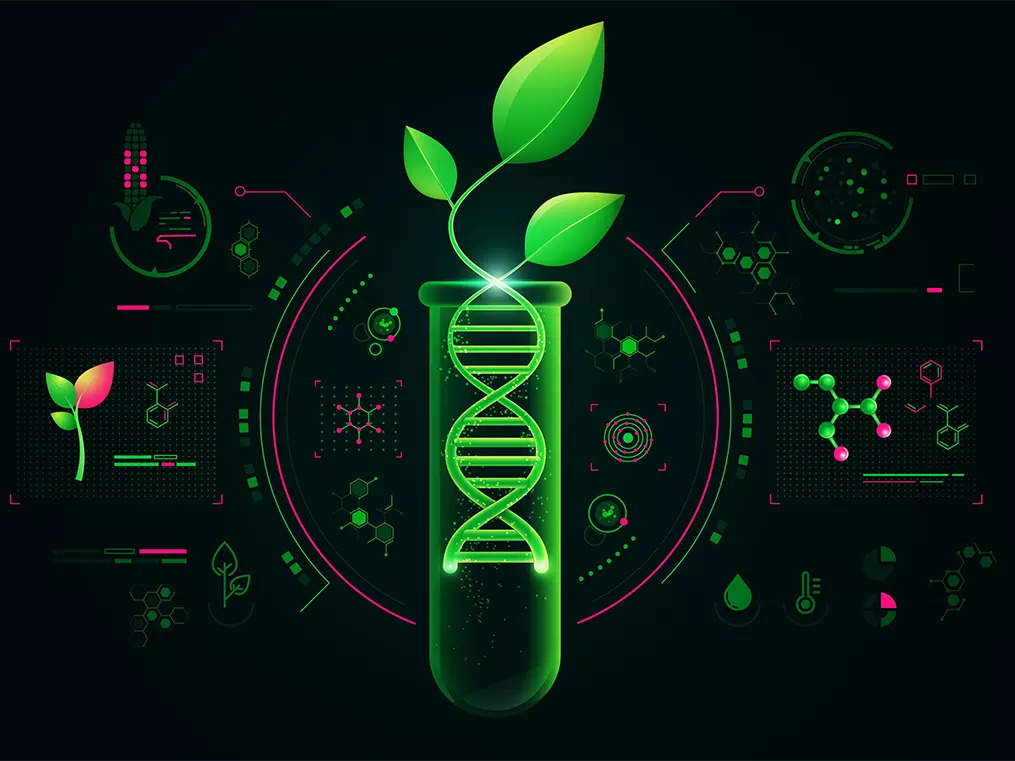 Revisiting GMO laws: why it is high time to set up biotech regulator to calm food-security jitters