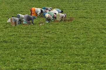 Irdai reduces solvency margin requirement for crop business; to unlock Rs 1,400 crore funds
