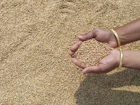 ​Food insecurity