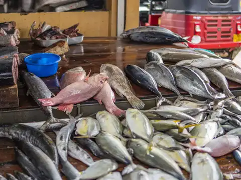 ​Fisheries deal