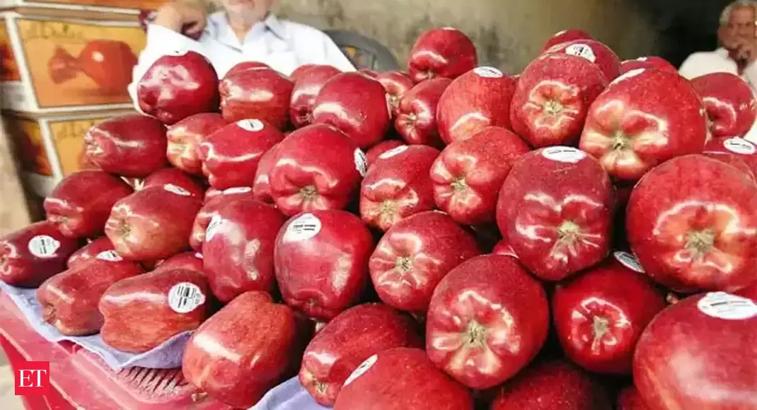 Highdensity apple farming picks up in Uttarakhand under Coca Cola's CSR initiative The