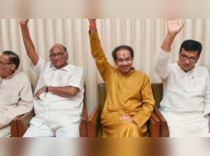 The Shiv Sena, NCP and Congress had nominated two candidates each for 10 seats up for grabs, but Congress's Dalit leader Chandrakant Handore lost the poll. The BJP won all the five seats it contested.