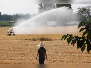 Sprinkler irrigates a corn field in Xiliangshi village