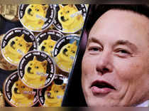 Elon Musk rebuffs his suggestion to invest in Dogecoin