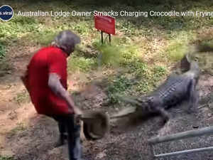 Australian pub owner fights crocodile off with frying pan, video goes viral