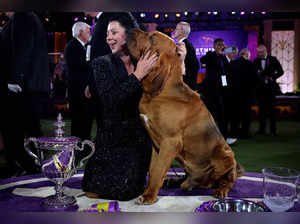 146th Westminster Kennel Club Dog Show in Tarrytown, New York