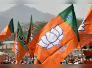 Plan to hobble Shiv Sena, not just regime change in Maharashtra: BJP leader