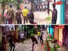 Tripura Congress chief Birajit Sinha among 19 injured in clash with BJP