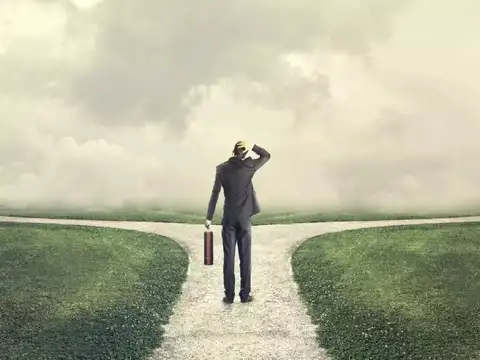 New listings: Largecap & midcap categories