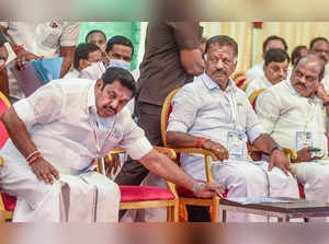 Tamil Nadu local polls: AIADMK workers