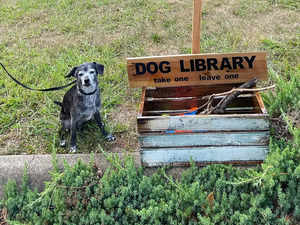 Dog library