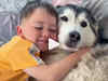 Video shows strong bond between husky and boy, internet goes all mushy