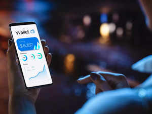 Curbs on E-Wallet lending signal more regulatory tightening: Fitch