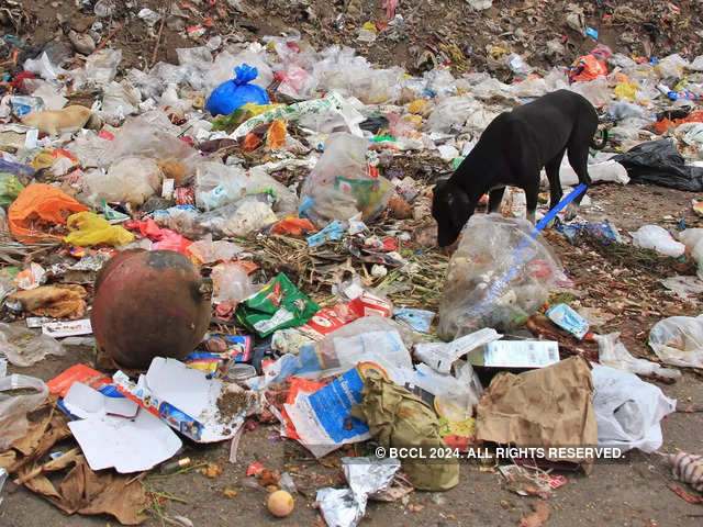 ​Plastic waste in Delhi