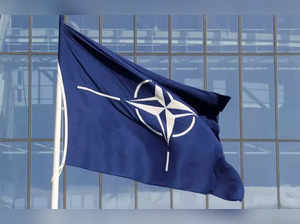NATO-HERE